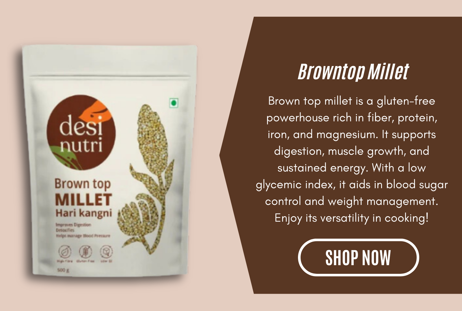 Browntop Millet